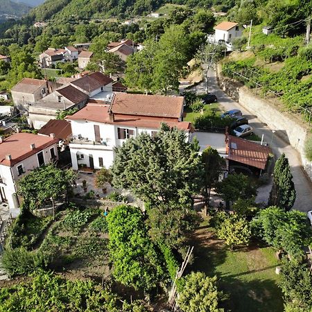 Gasthaus Agriturismo Mare E Monti Tramonti Exterior foto