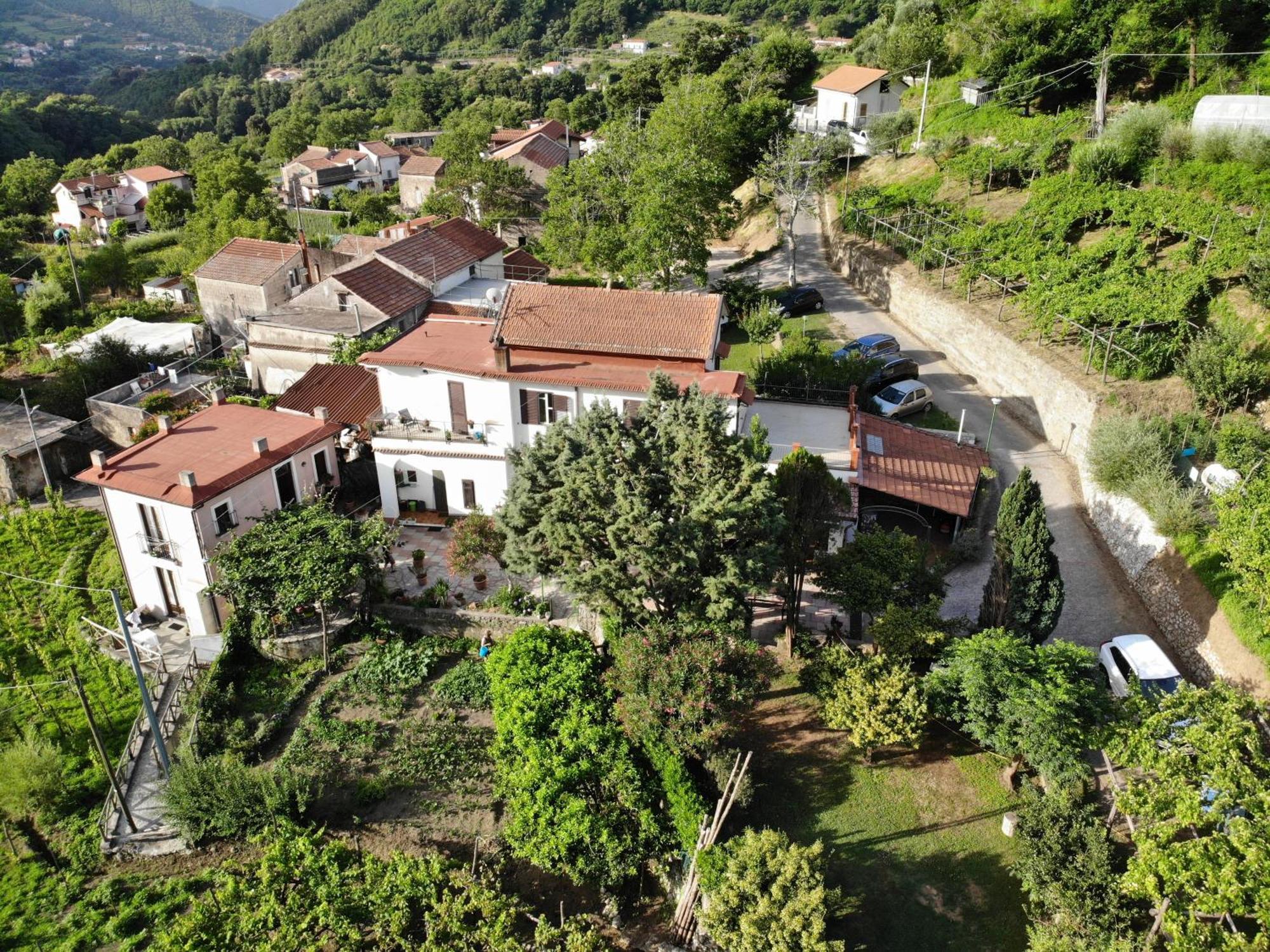 Gasthaus Agriturismo Mare E Monti Tramonti Exterior foto