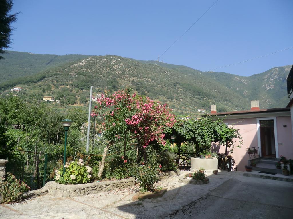 Gasthaus Agriturismo Mare E Monti Tramonti Exterior foto