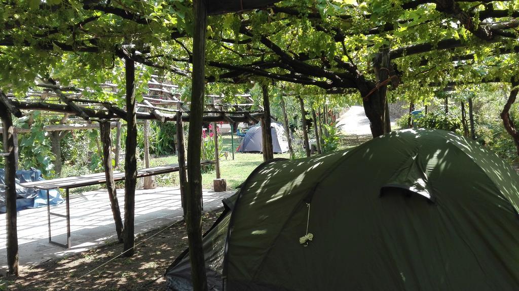 Gasthaus Agriturismo Mare E Monti Tramonti Exterior foto